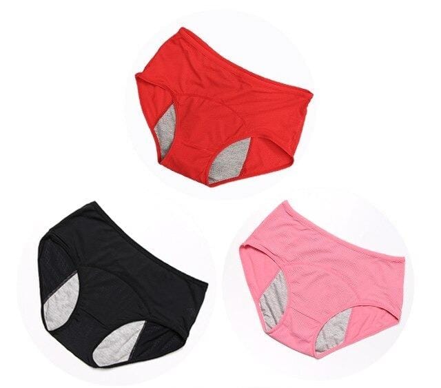 Kit Calcinha Absorvente (PAGUE 3 LEVE 6)