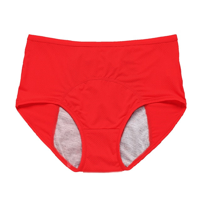 Kit Calcinha Absorvente (PAGUE 3 LEVE 6)